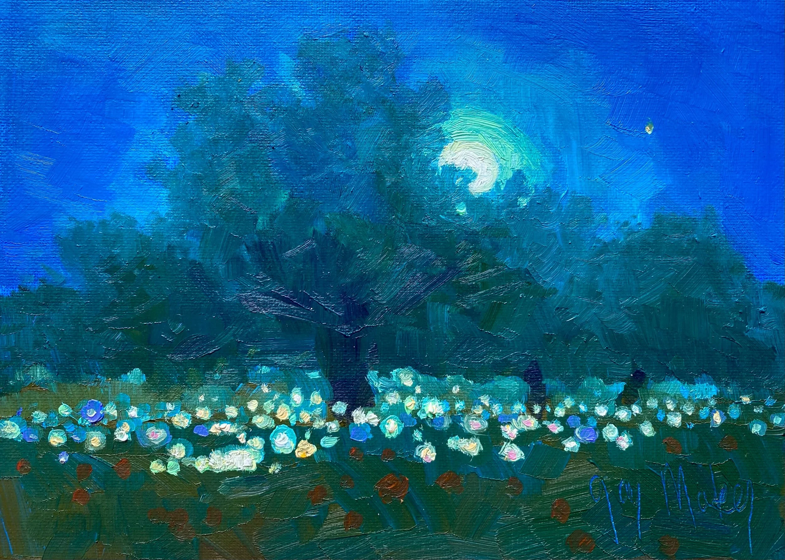“MOONLIGHT LIGHT SHOW”