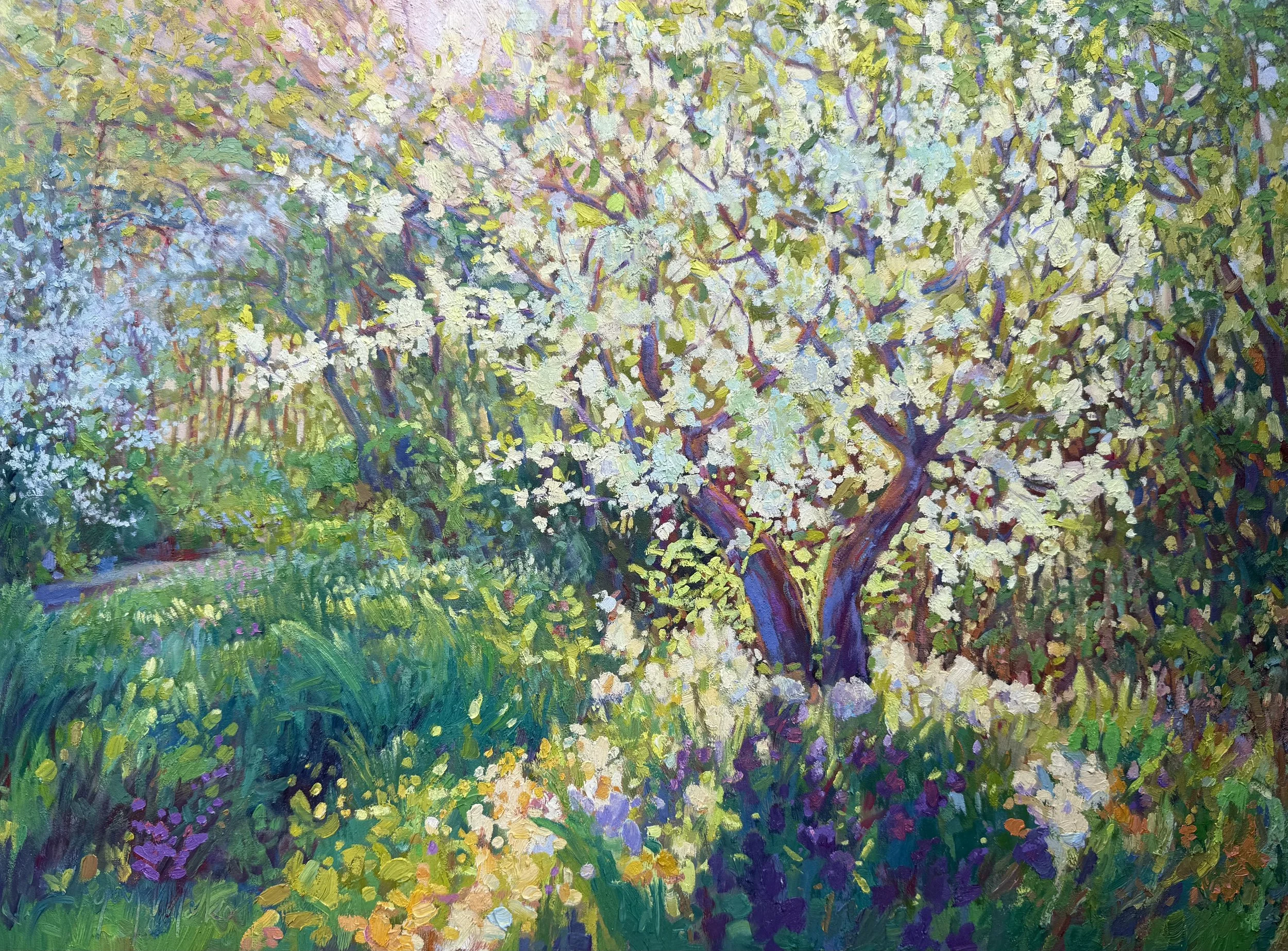 FRINGE TREE IN SPRING