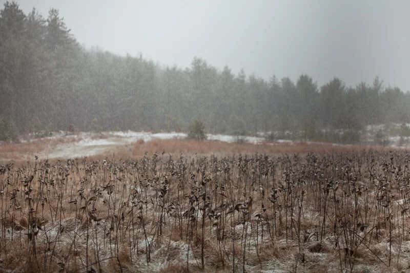 Turners Falls, MA