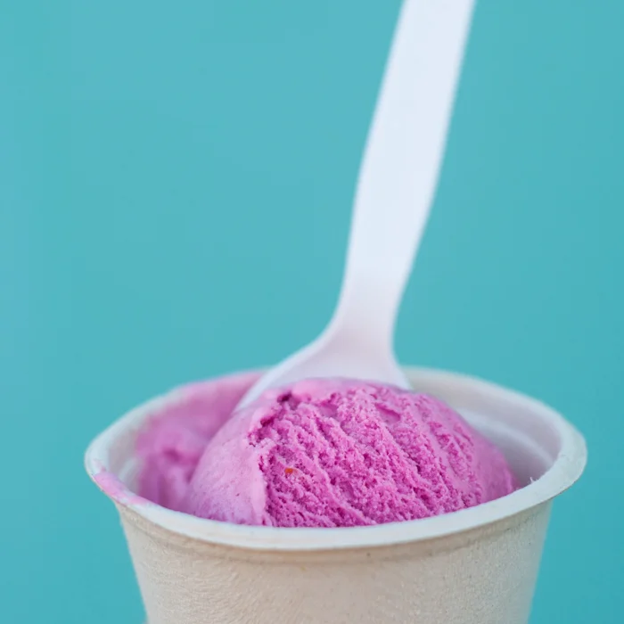 Ruby Jewel beet-mascarpone ice cream at The Wedge cheese festival, Portland