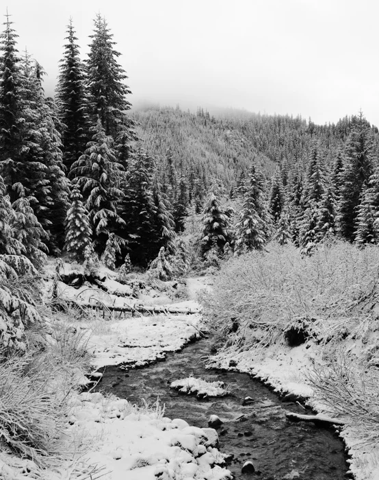 Mount Saint Helens National Volcanic Monument, WA
