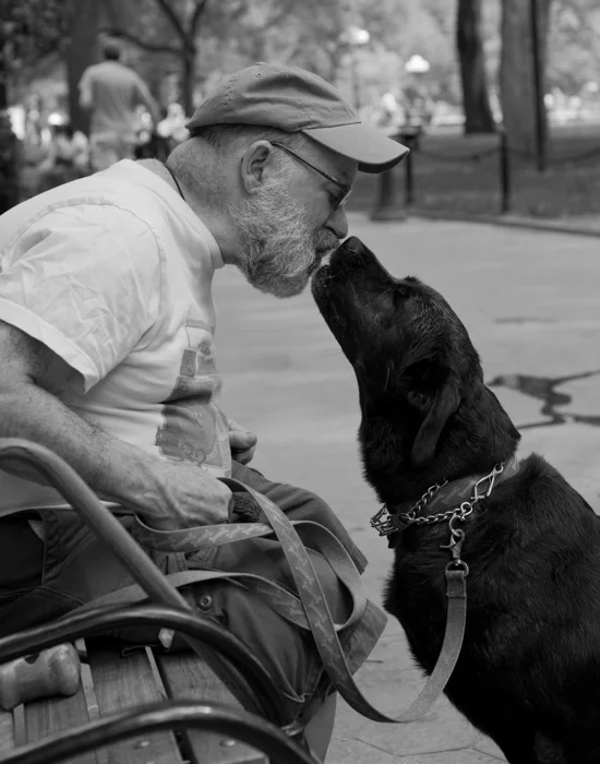 Washington Square Park, NYC