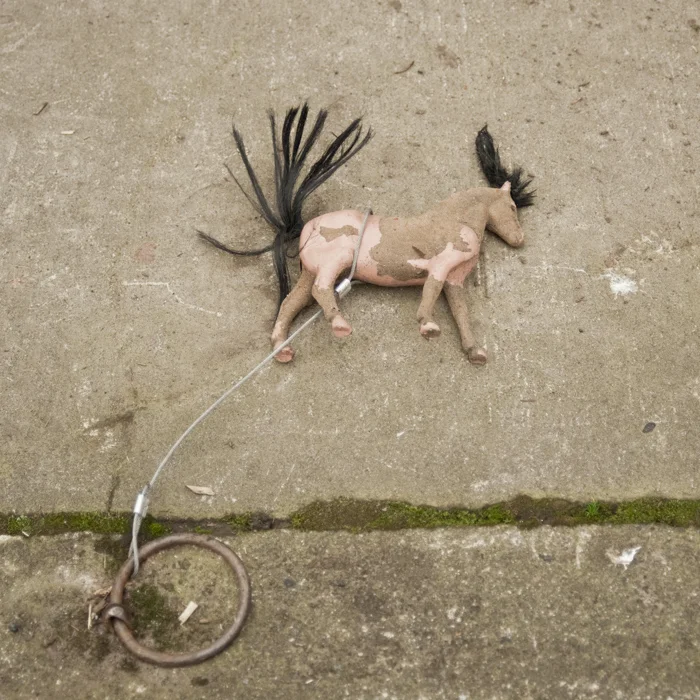 horse project