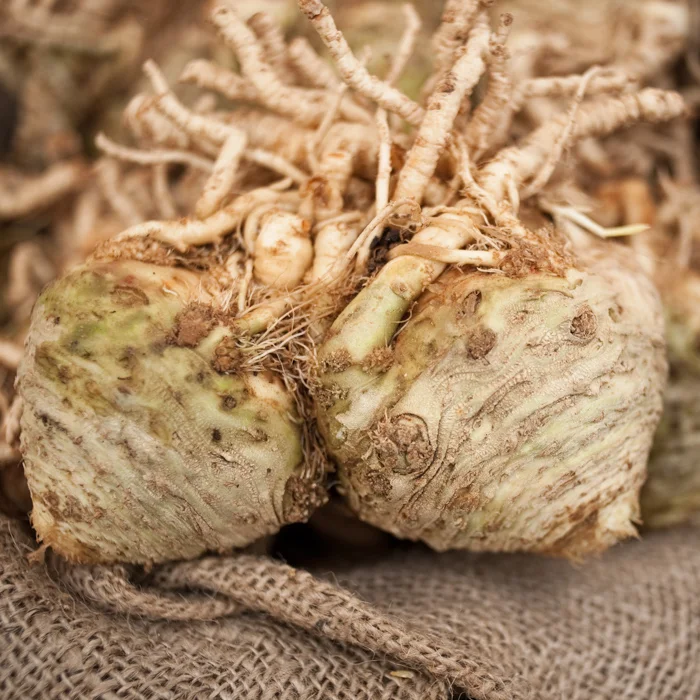 celeriac