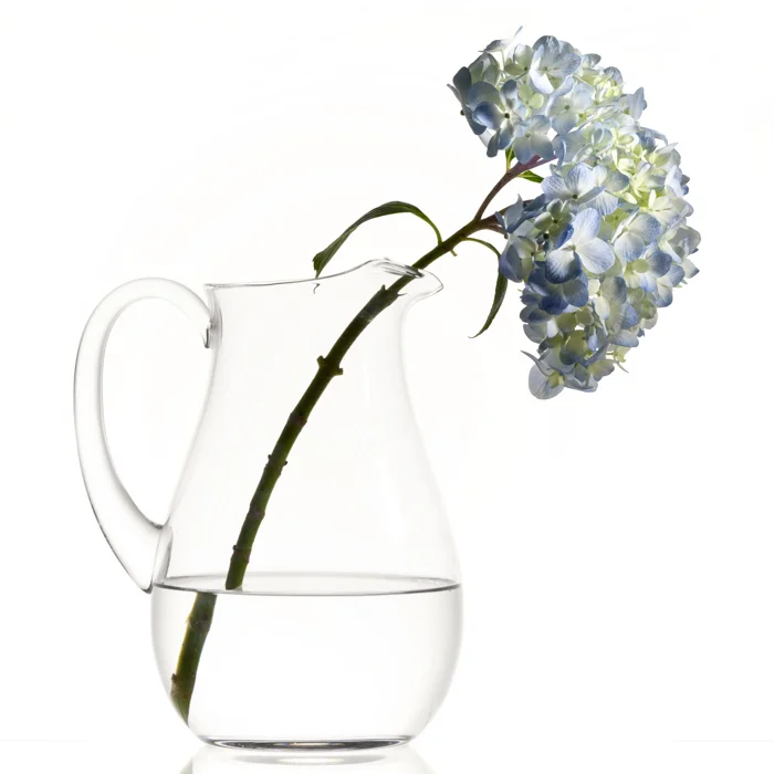 hydrangea | studio