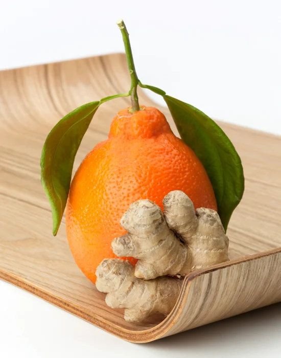 ginger, satsuma | studio