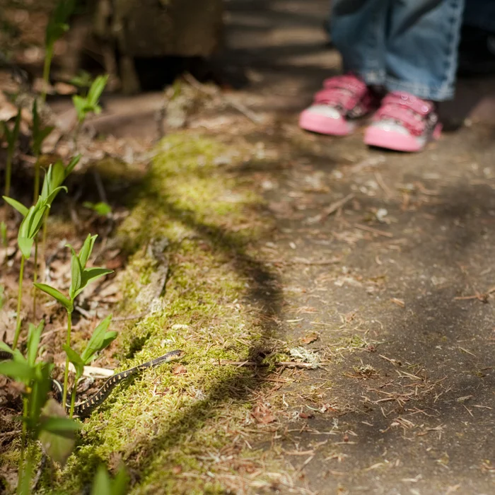 Tualatin Hills Nature Park , Beaverton, OR