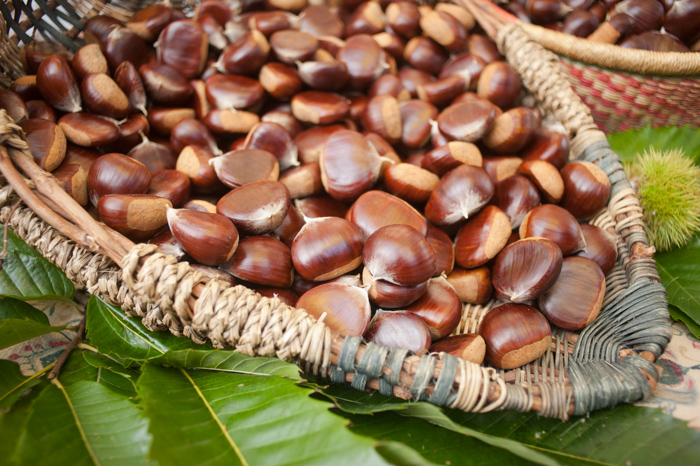 chestnuts