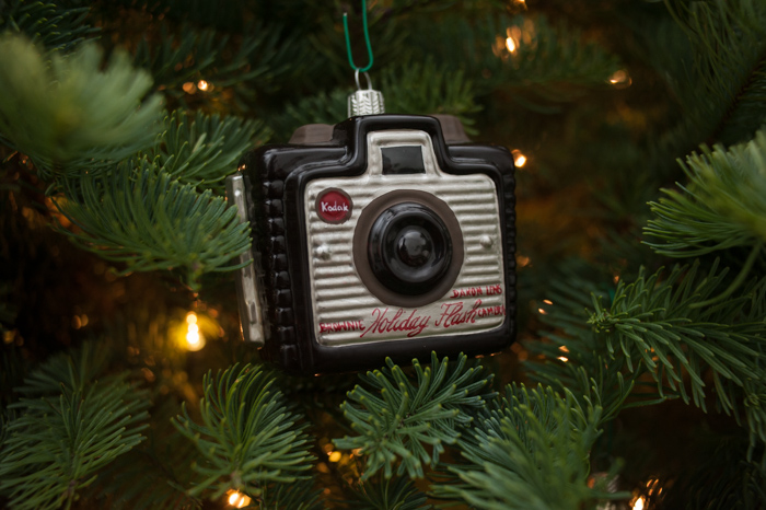 on the tree in Portland