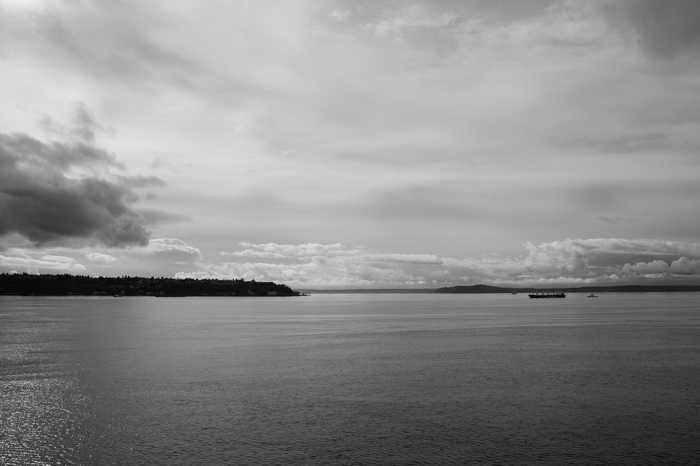 Elliott Bay, Puget Sound