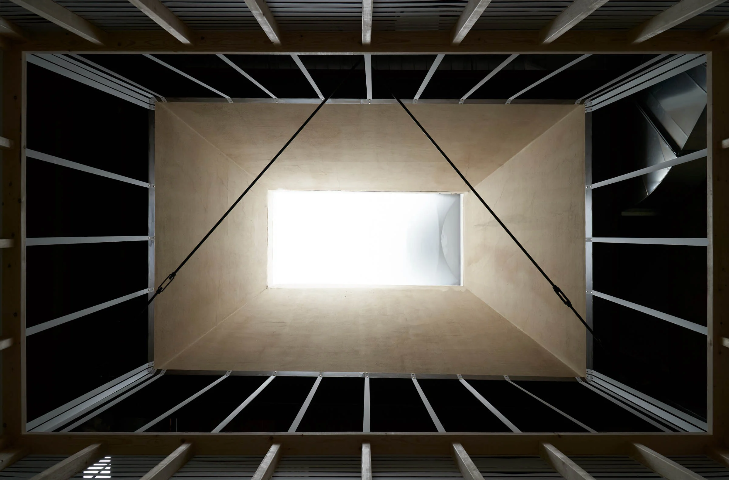 Presence of Absence09.jpg