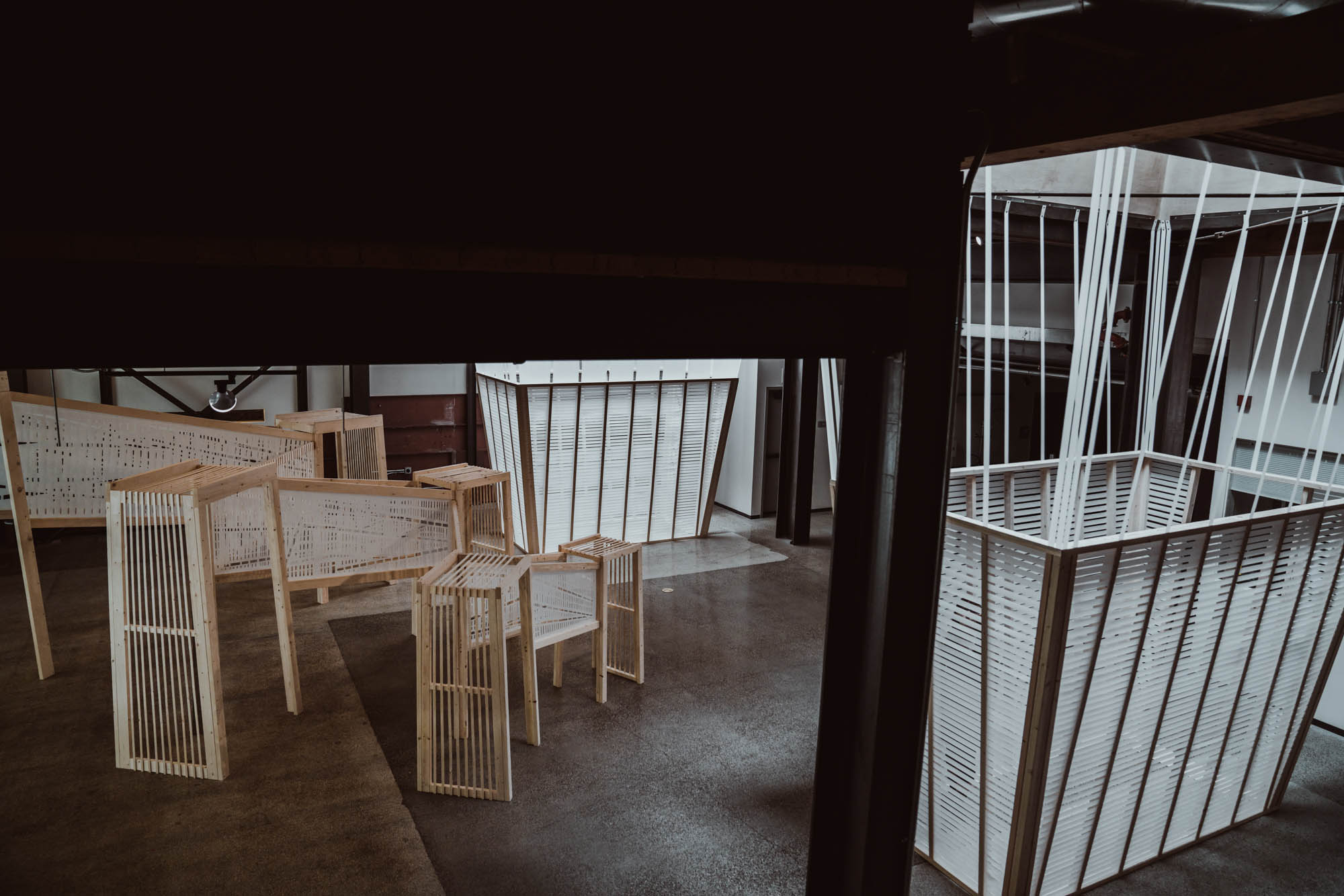 Presence of Absence22.jpg