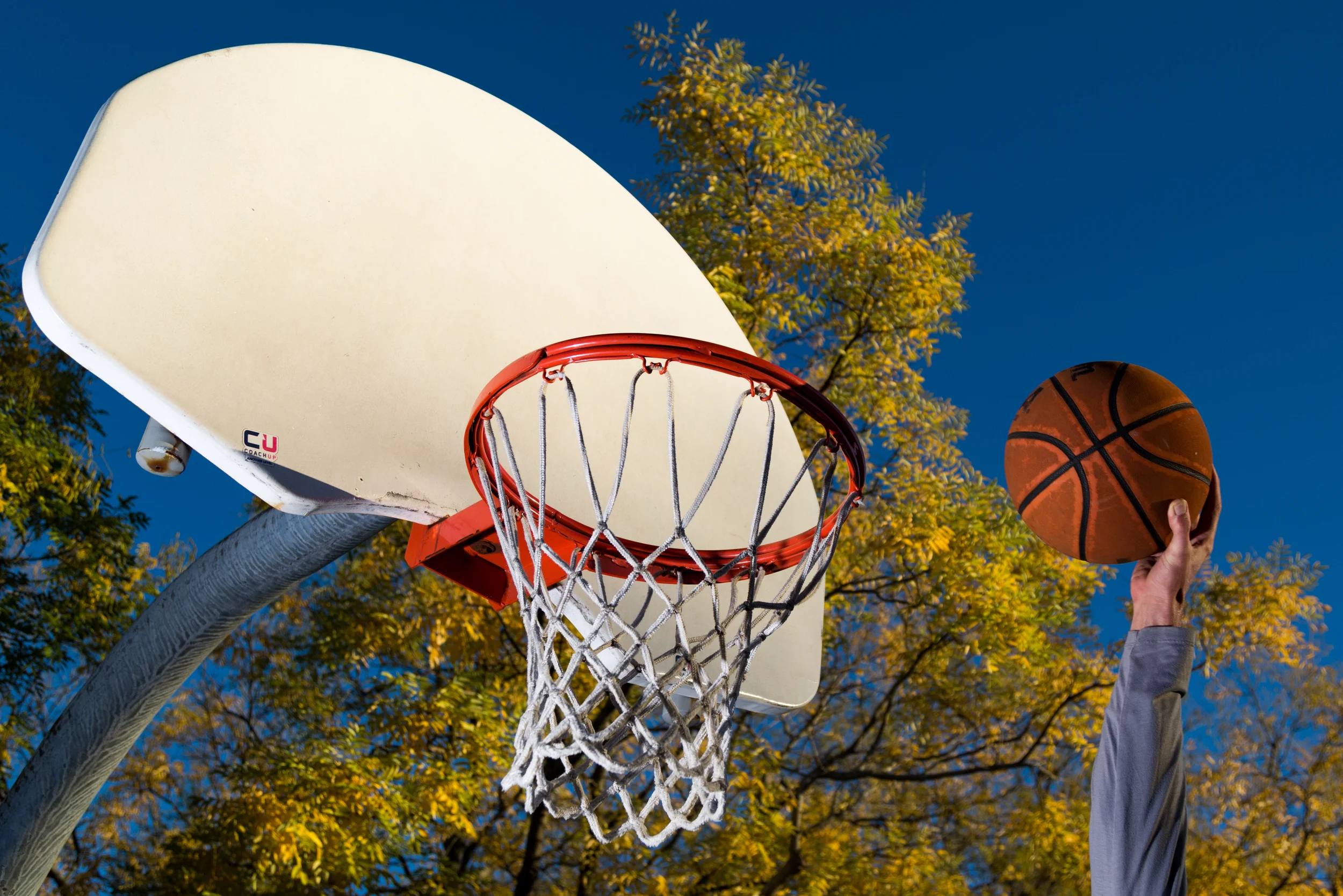 The light from the sun was a perfect second light on the backboard and fall foliage!