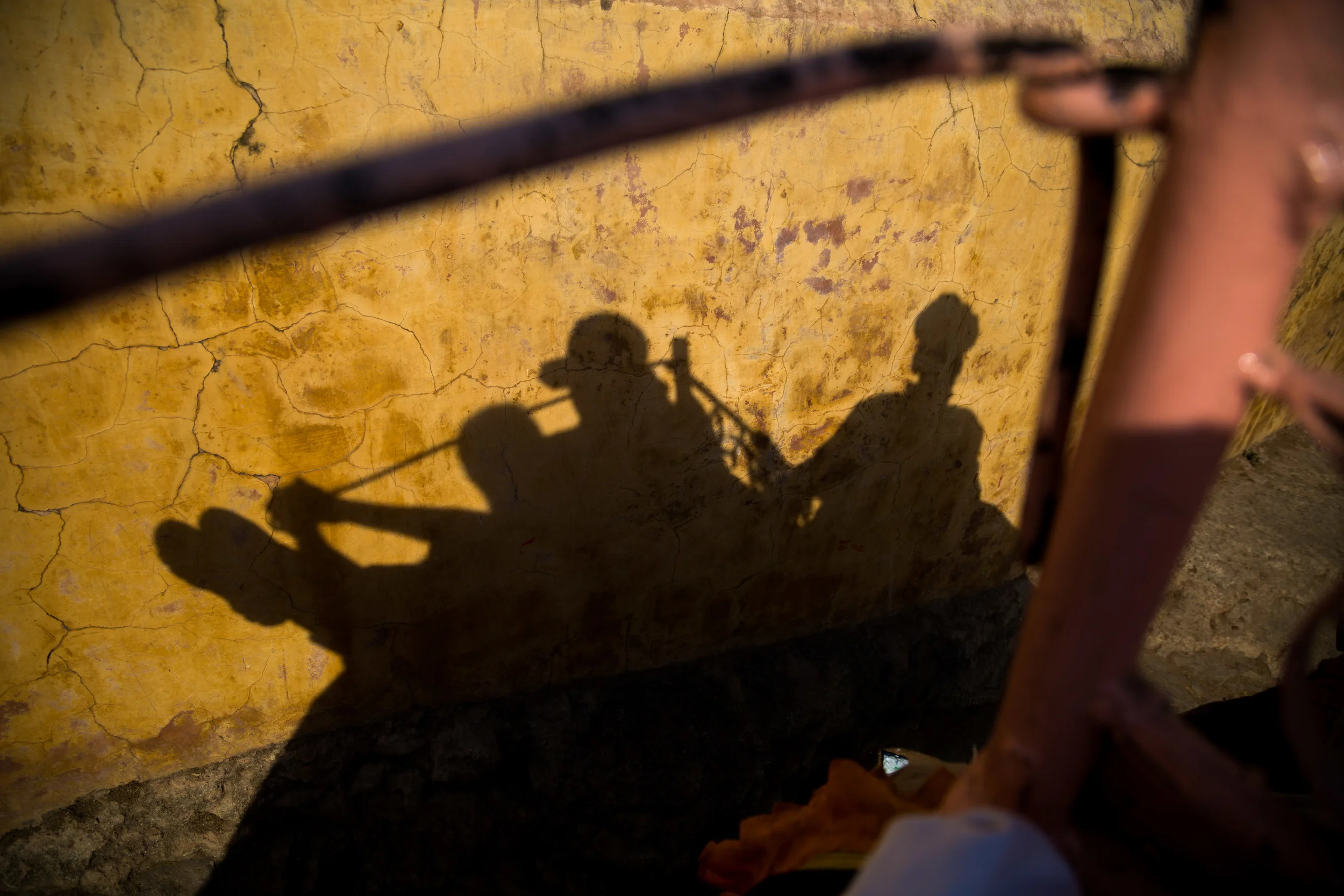 Shadows from the top of an elephant. Elephant rides are a popular attraction on the way up to the Amber Fort in Jaipur, India. 