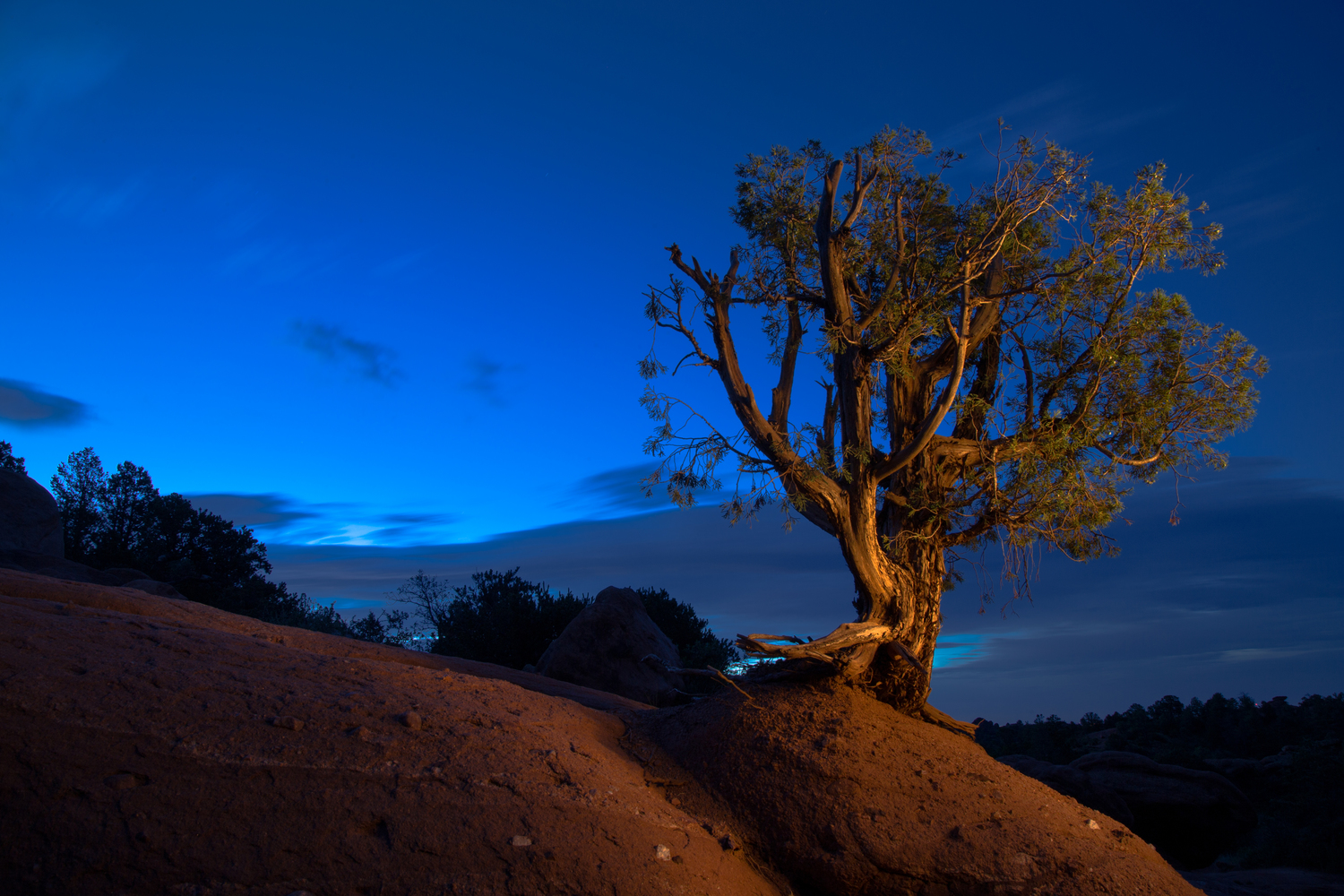 One of my first landscape light paintings after putting into use tips from Dave Black.