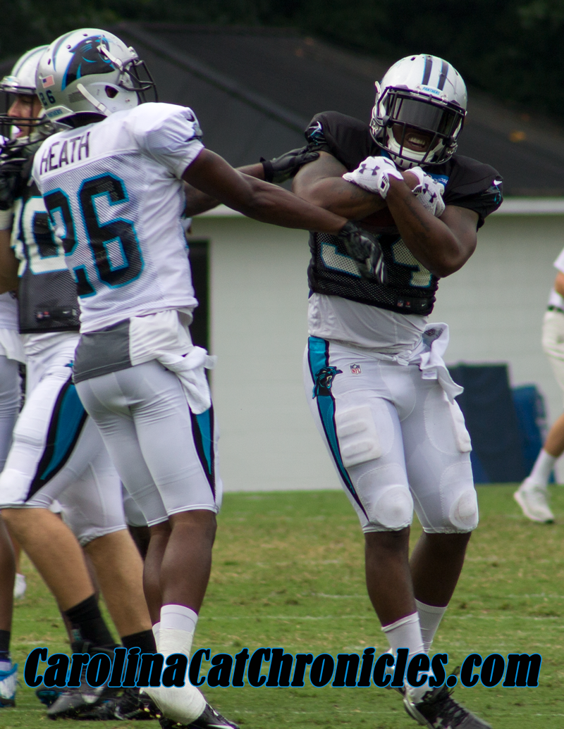 Cameron Artis-Payne