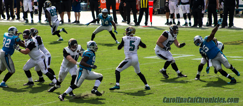 Panthers defense
