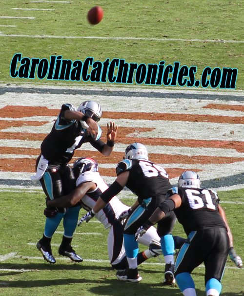 Cam Newton sack