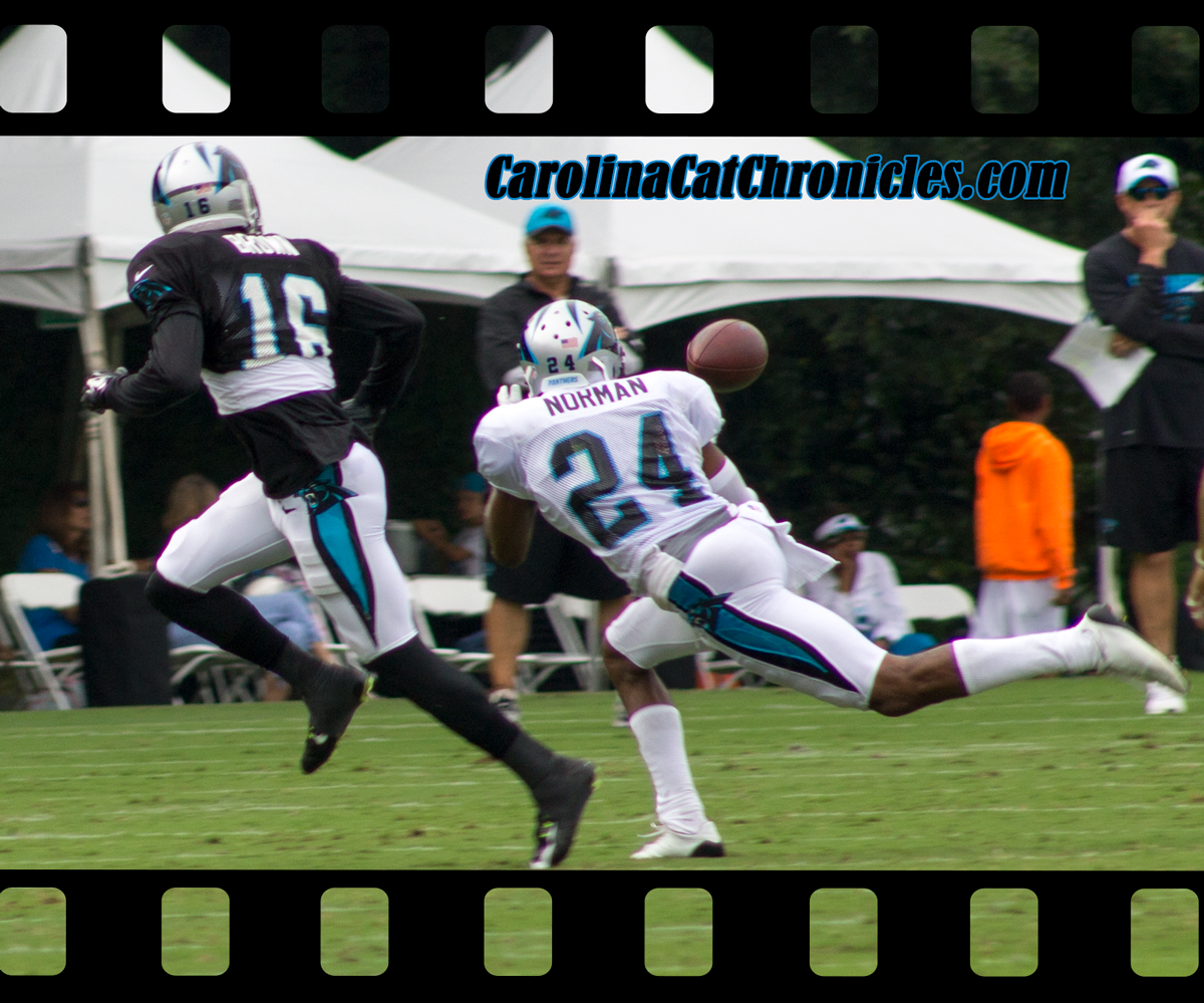 Josh Norman