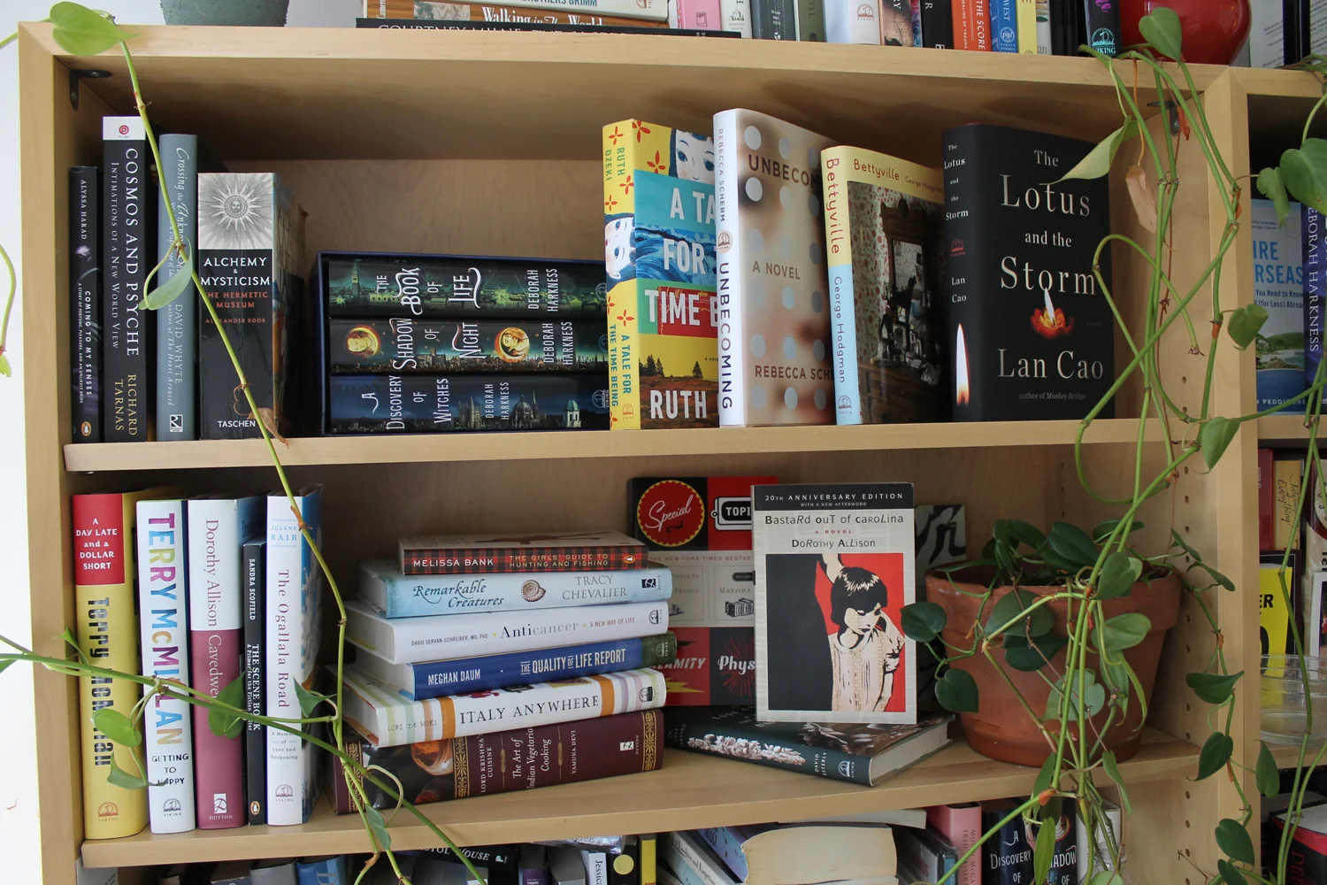 cds-bookshelf.jpg