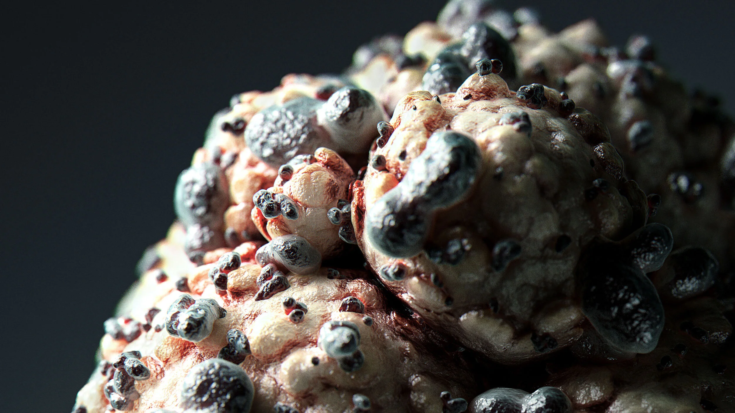 Cancer_cell_01_closeup01.jpg