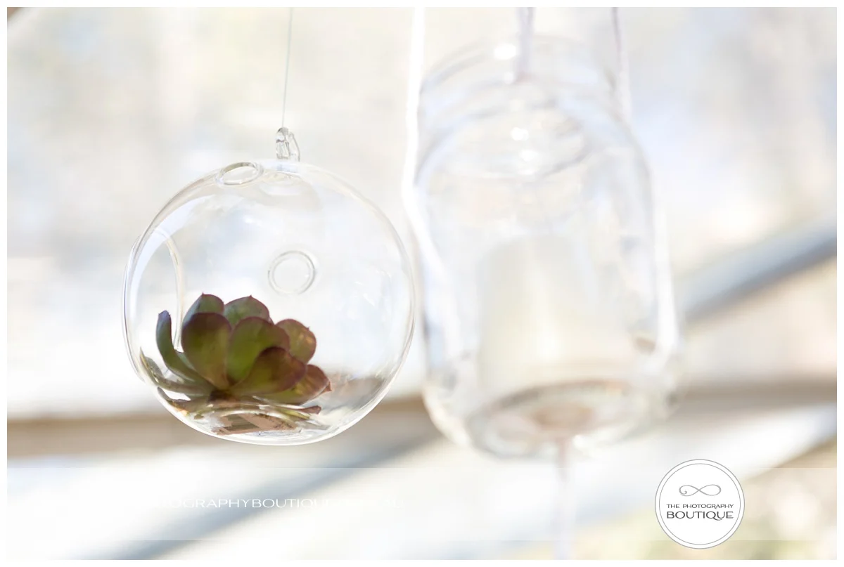 succulents as wedding styling