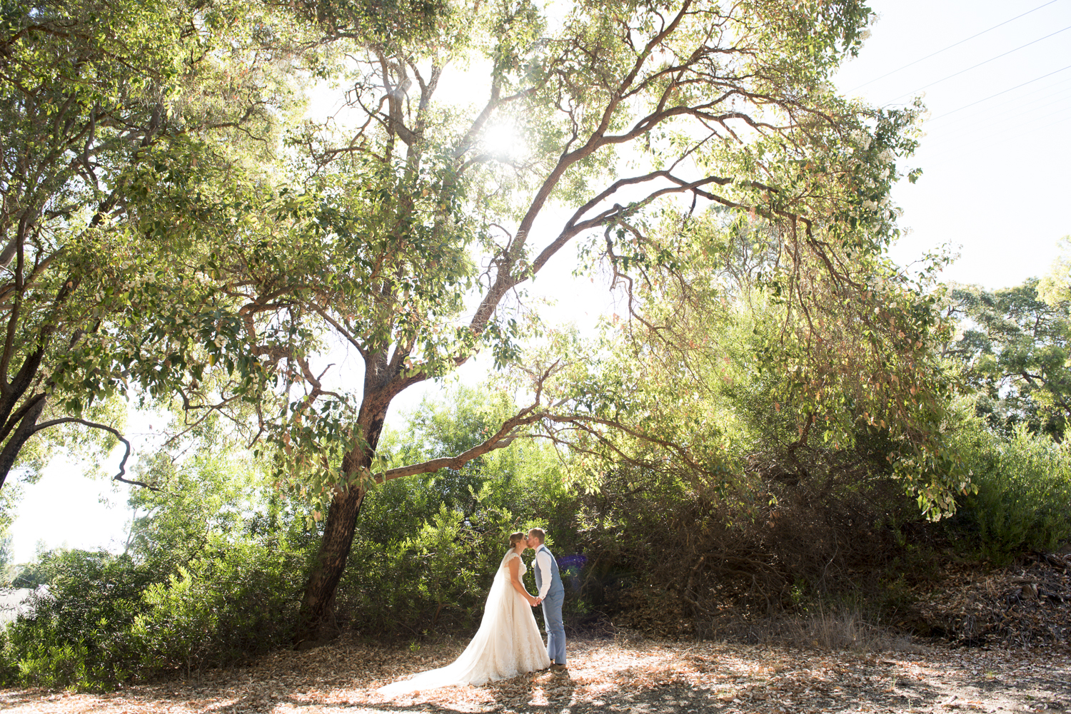 Barton Jones Winery Donnybrook Boyanup Wedding Photographer-29.jpg