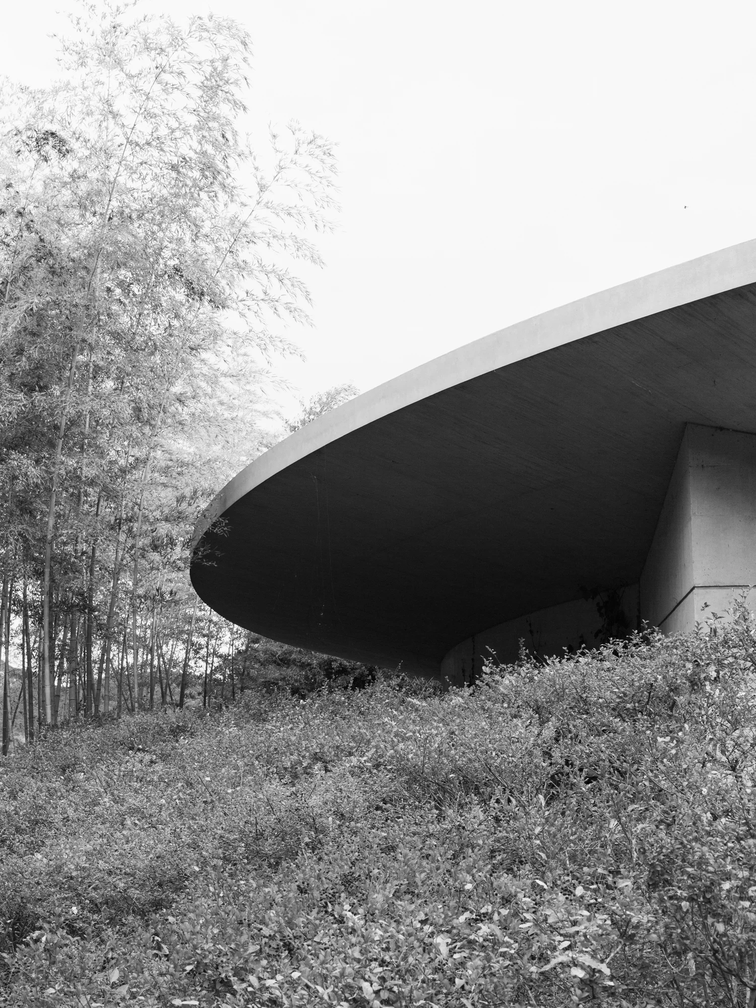 WATER TEMPLE Photographed for Home Magazine Tadao Ando Awaji Island, Japan