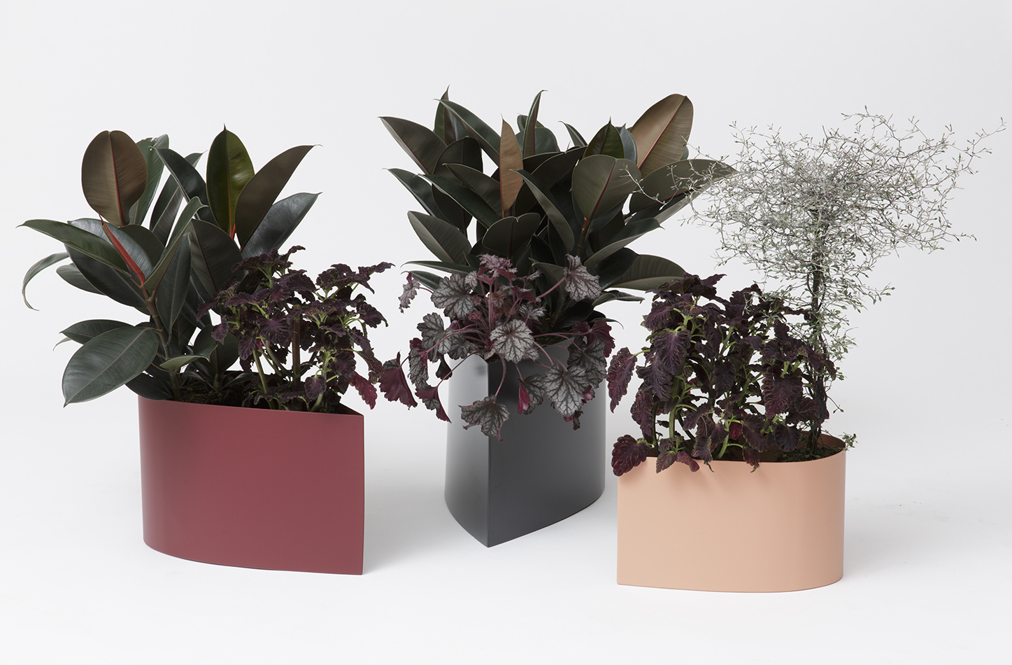 web_Drop pot flowers x 3.jpg