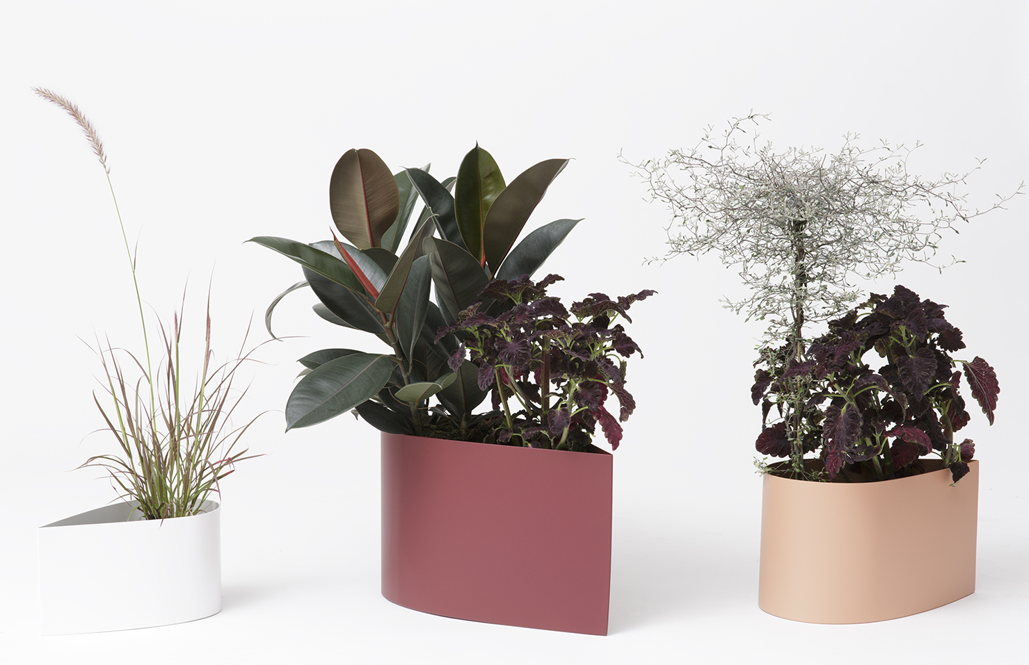 web_Drop pot plants x 3.jpg
