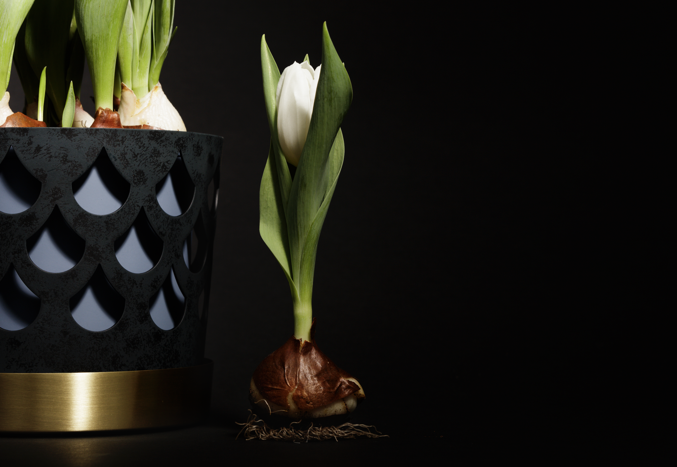 Skärmavbild 2025-10-02 kl. 17.28.14.png