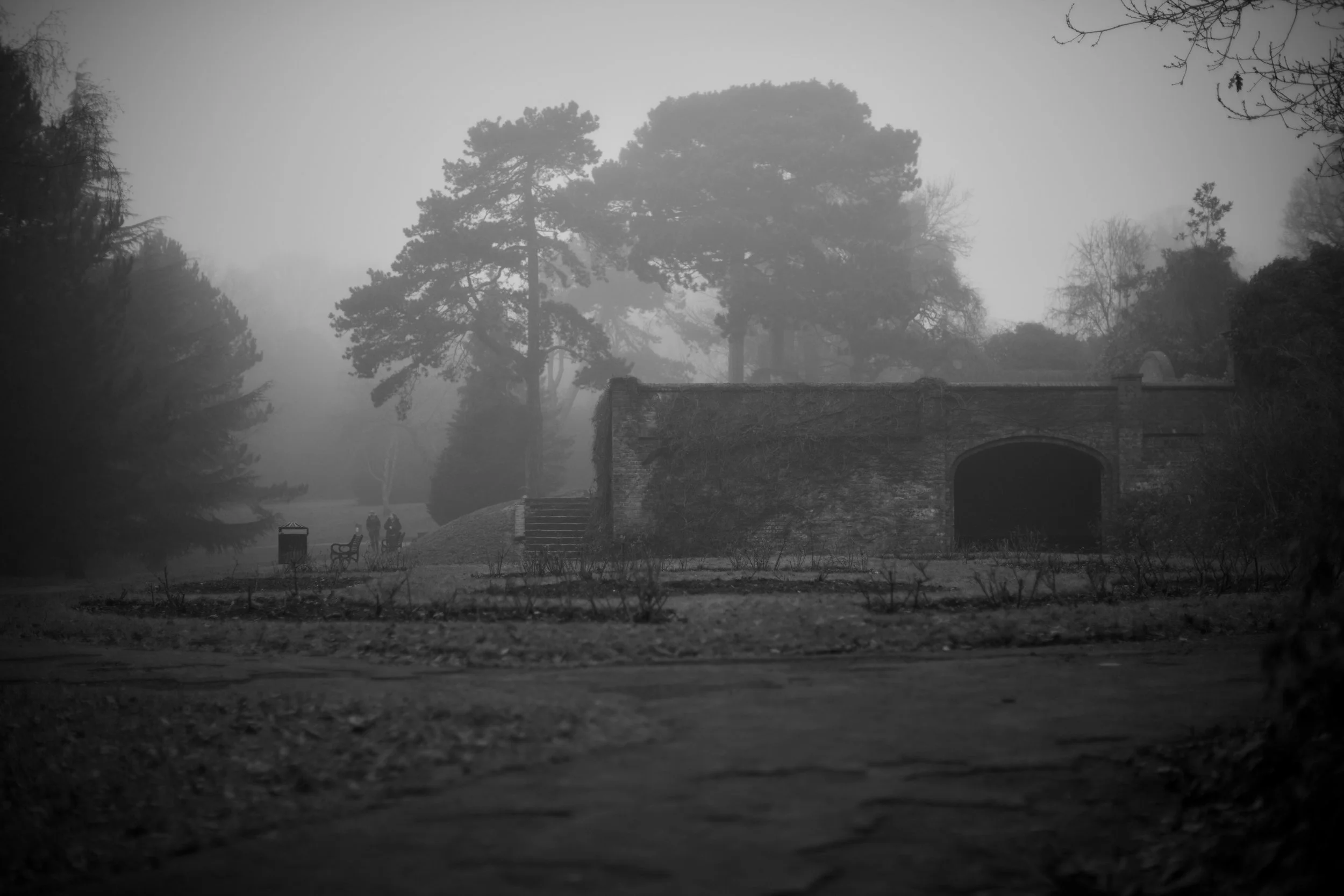 _MG_2375.jpg