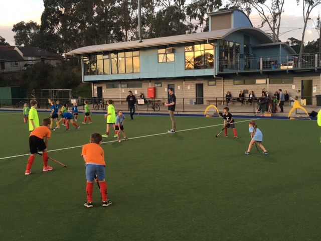 TEM Under 8s games Friday evening on H1