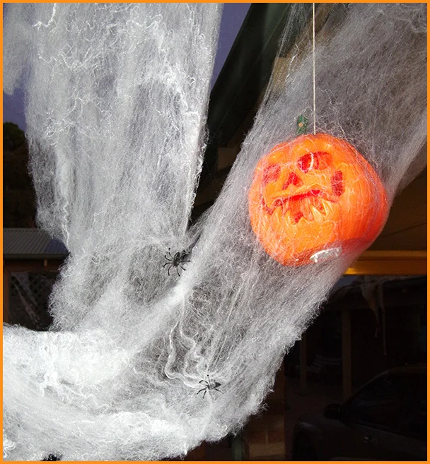 $2 pumpkin in $2 spider web with spiders.