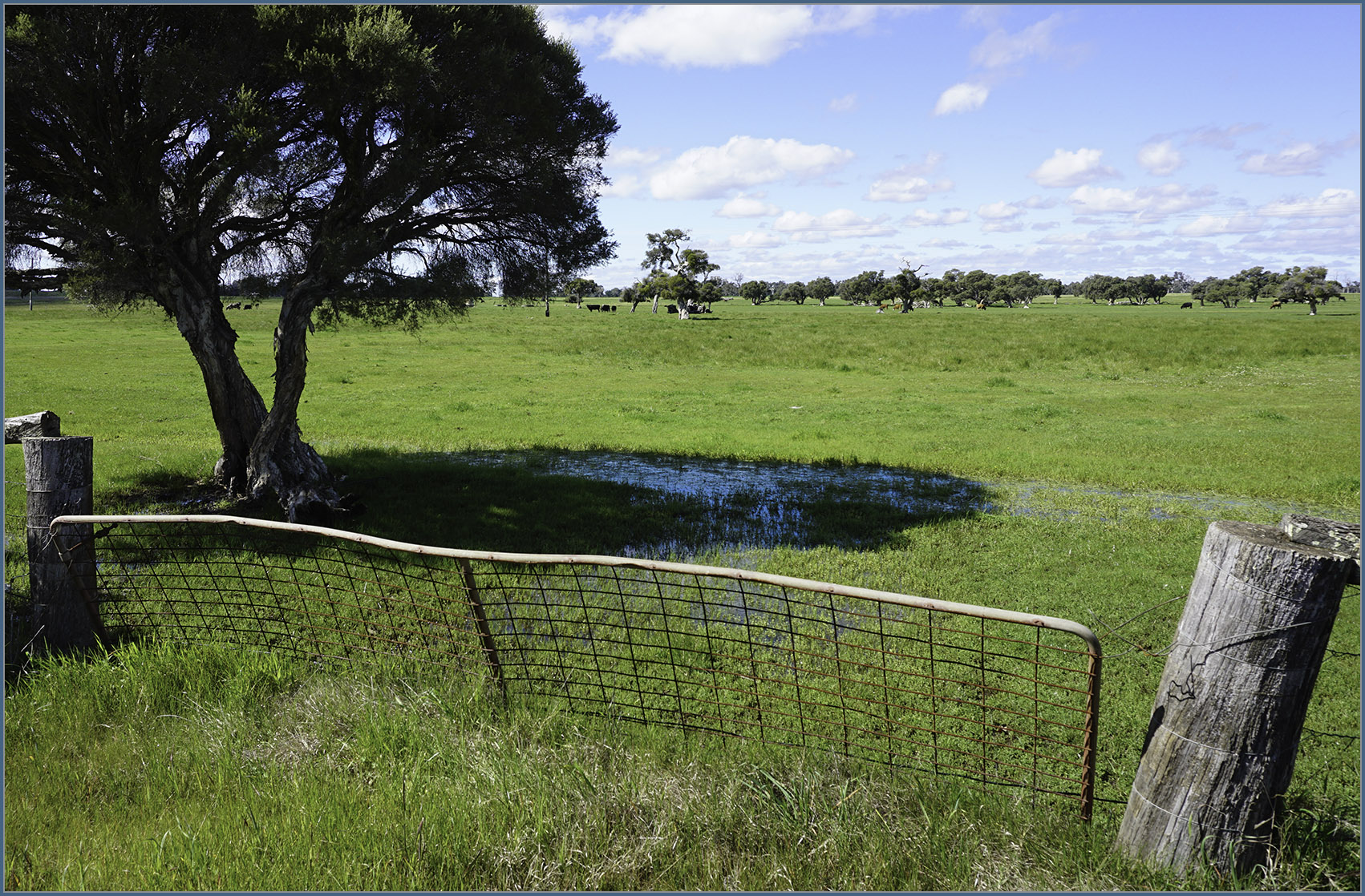 Gate-FeaturingBluePool.jpg