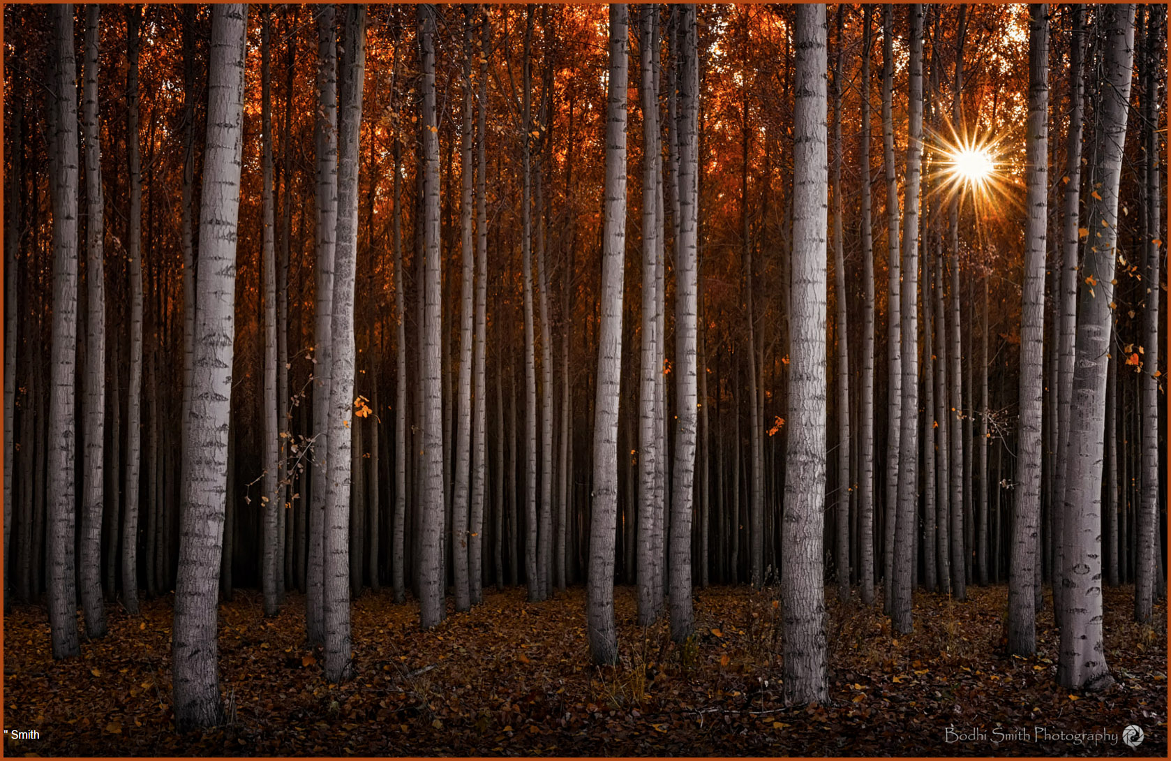 https://500px.com/photo/149435197/concerto-of-orange-by-d-bodhi-smith