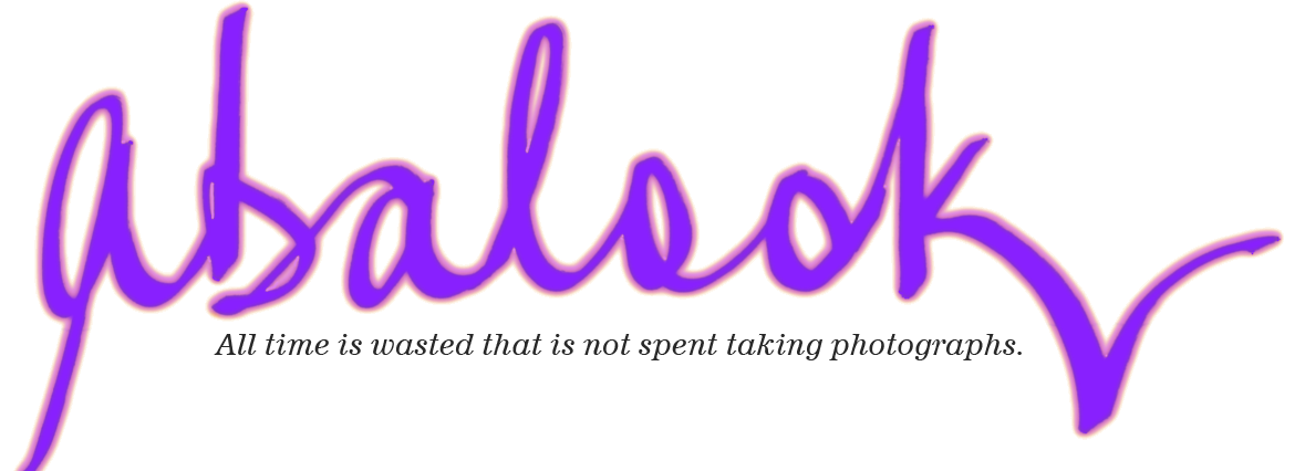 Free Browser Toolbar Virus Well Almost Abalook