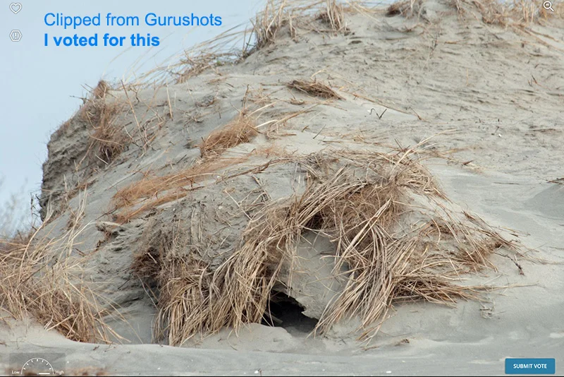 ExampleFromGurushots01.jpg