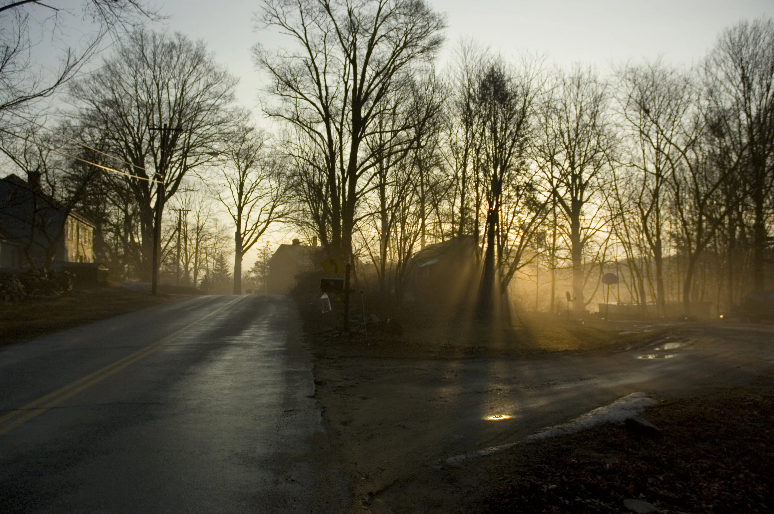 DSC_0110.jpg