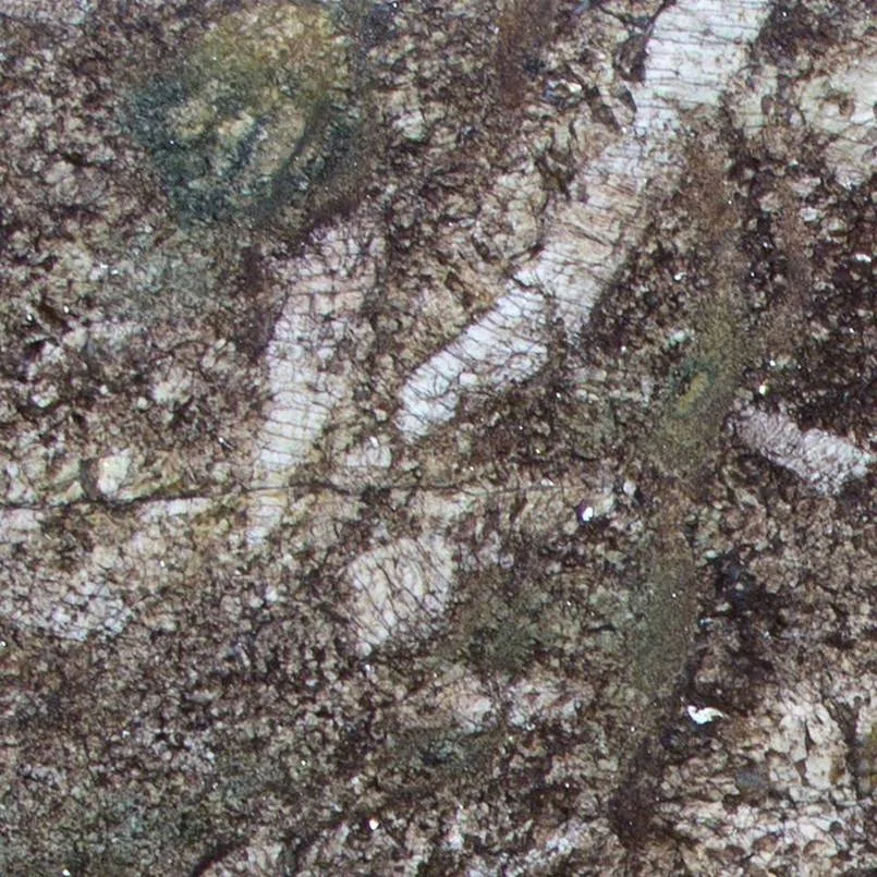 Kamarica-Granite.jpg