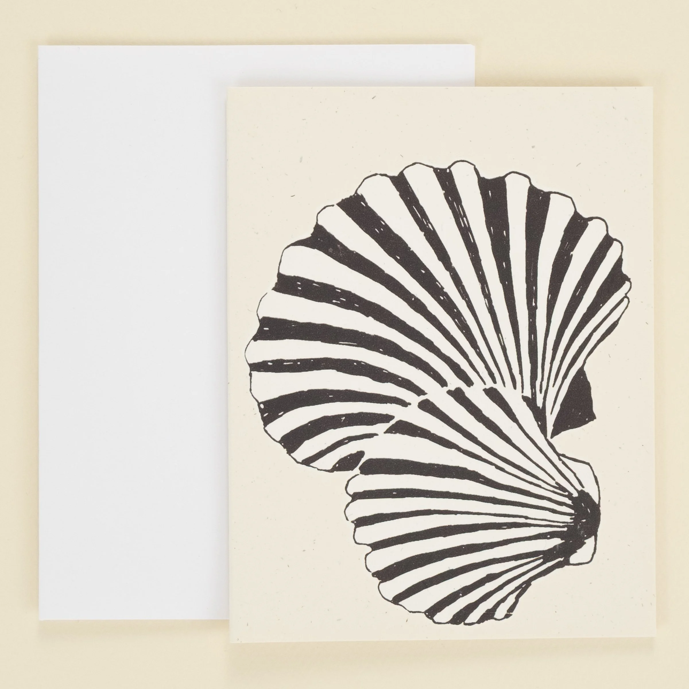 Scallop shells