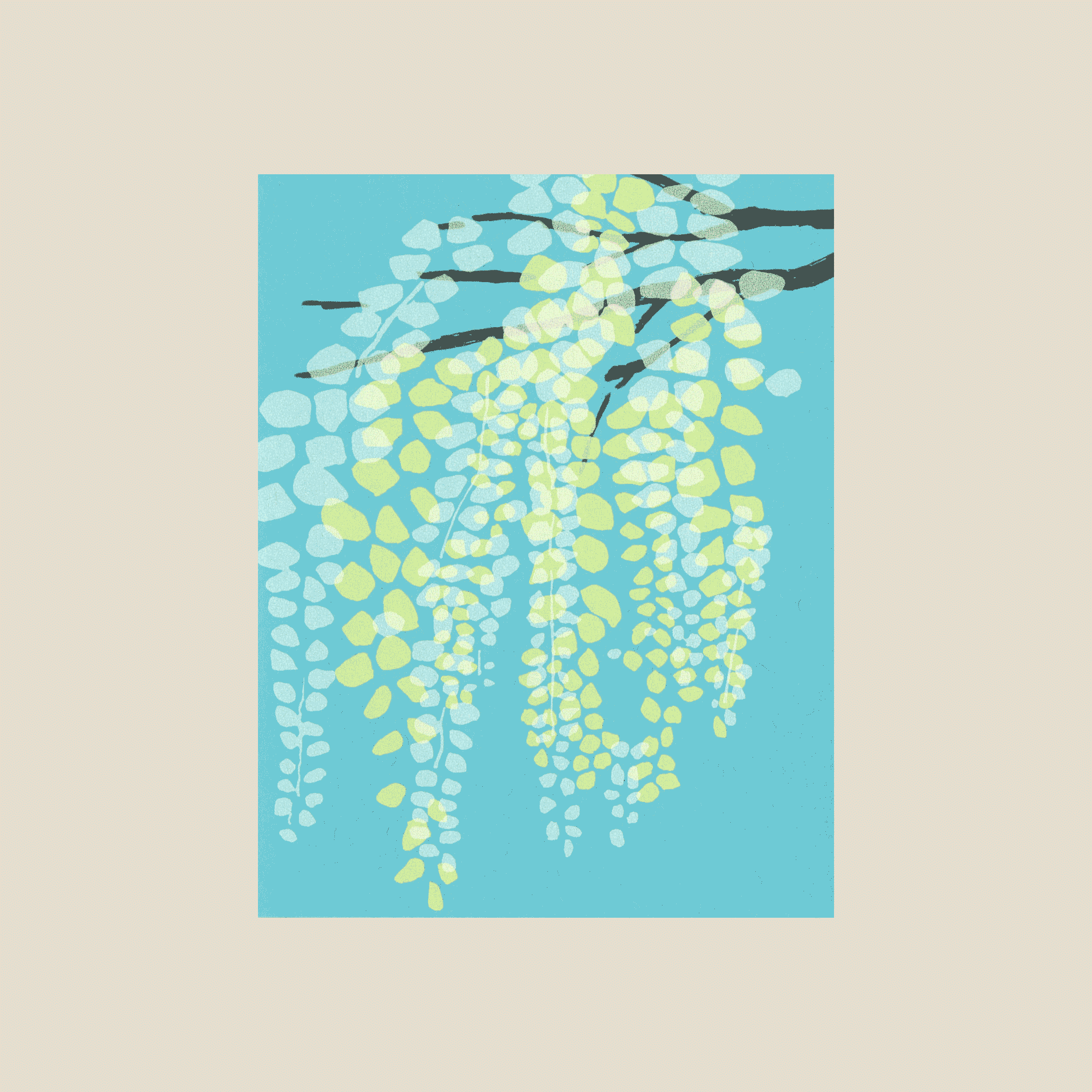 wisteria.png