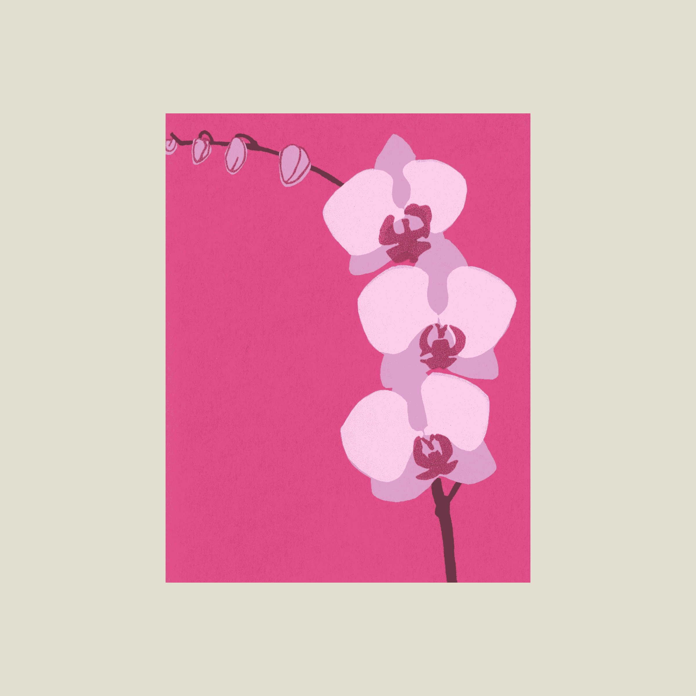 orchid.png