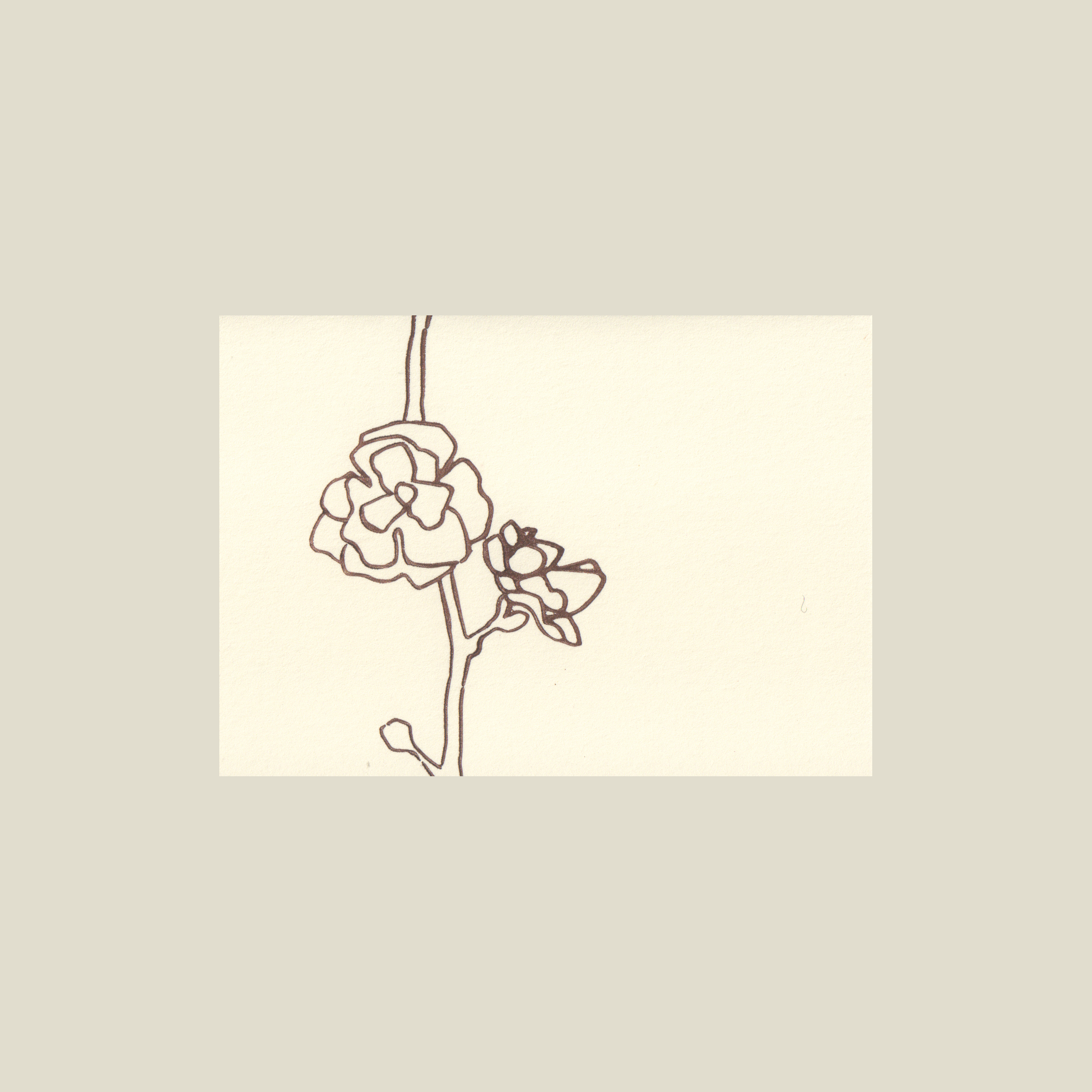 cherry-b-lg.png