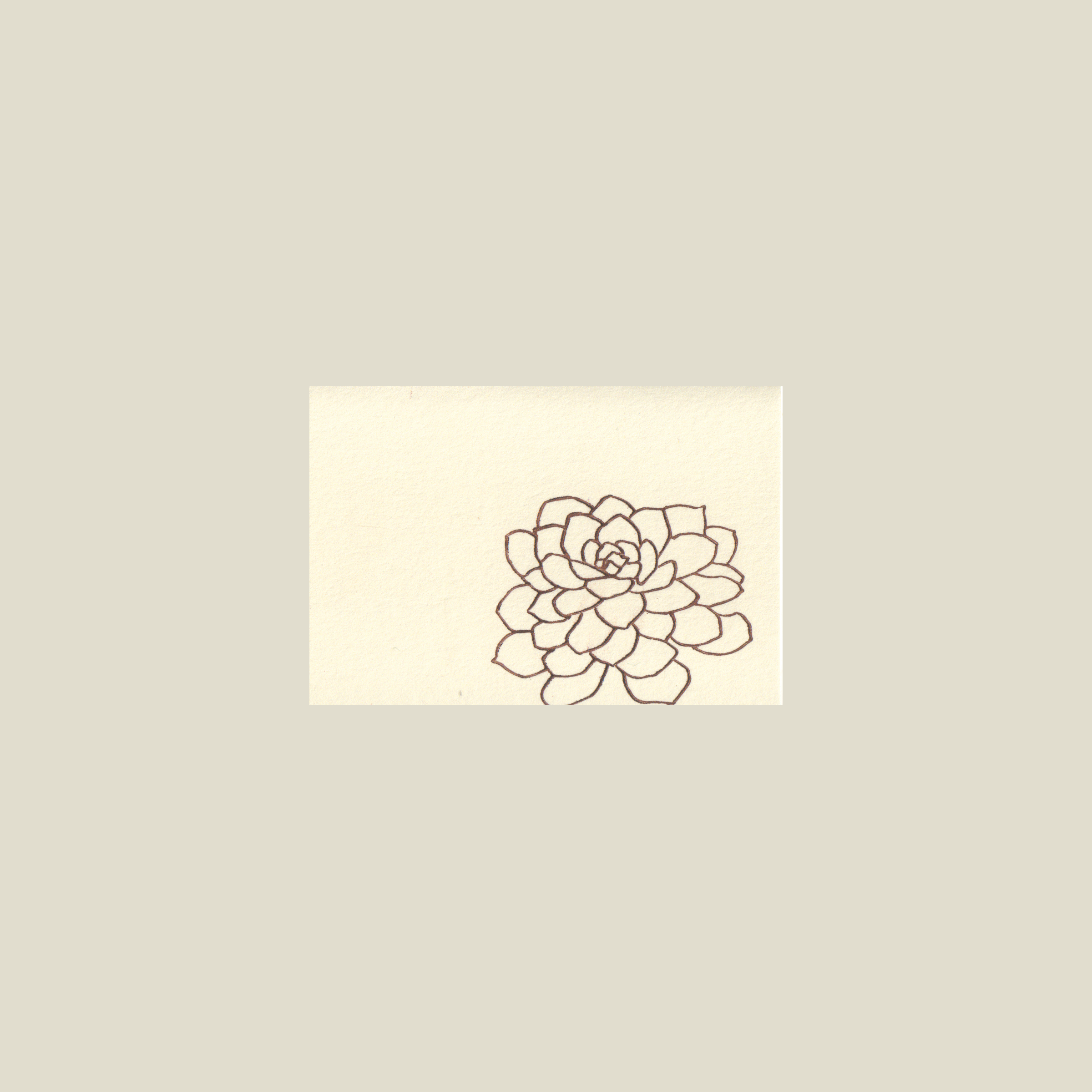 succulent-sm.png
