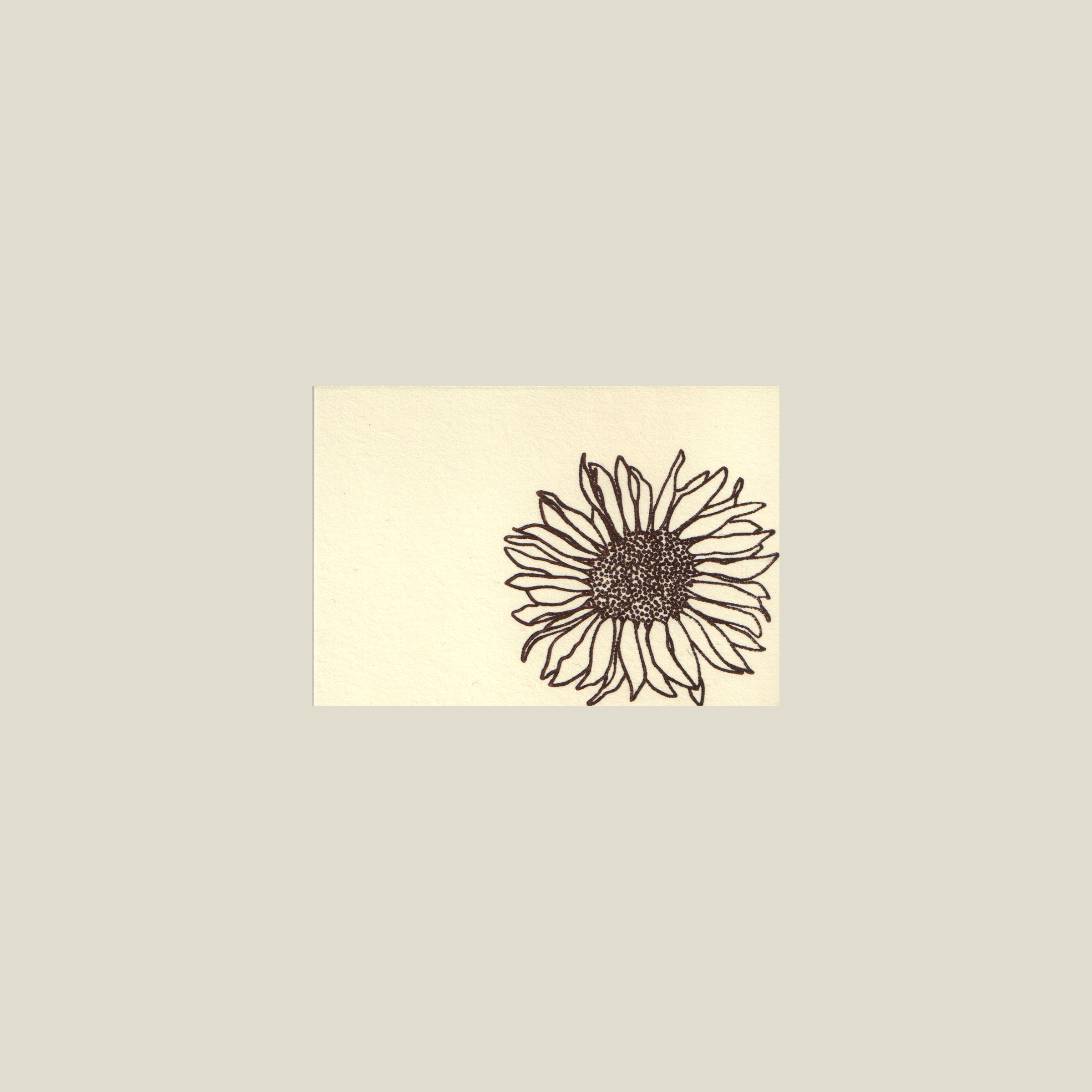 sunflower-sm.png