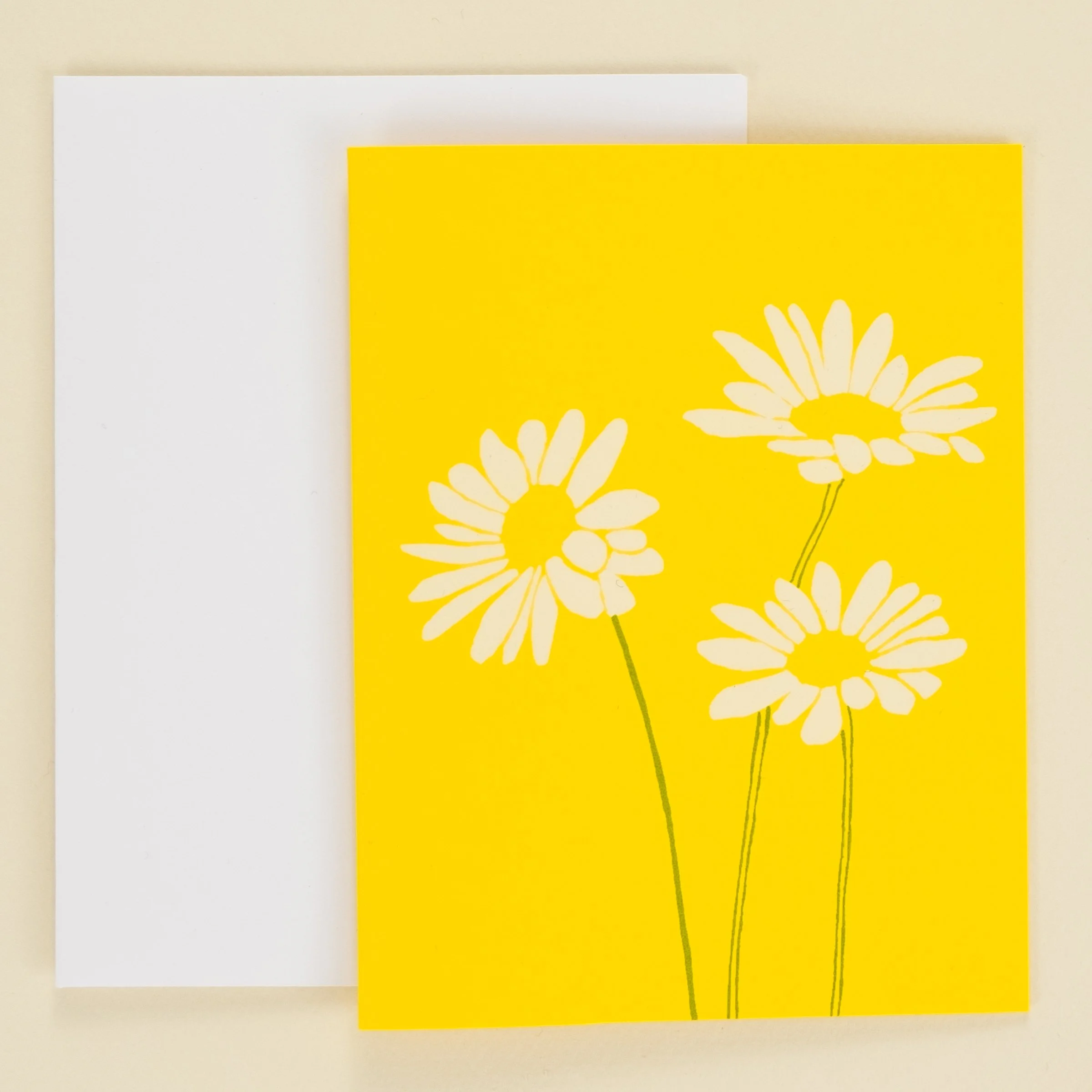 Daisy