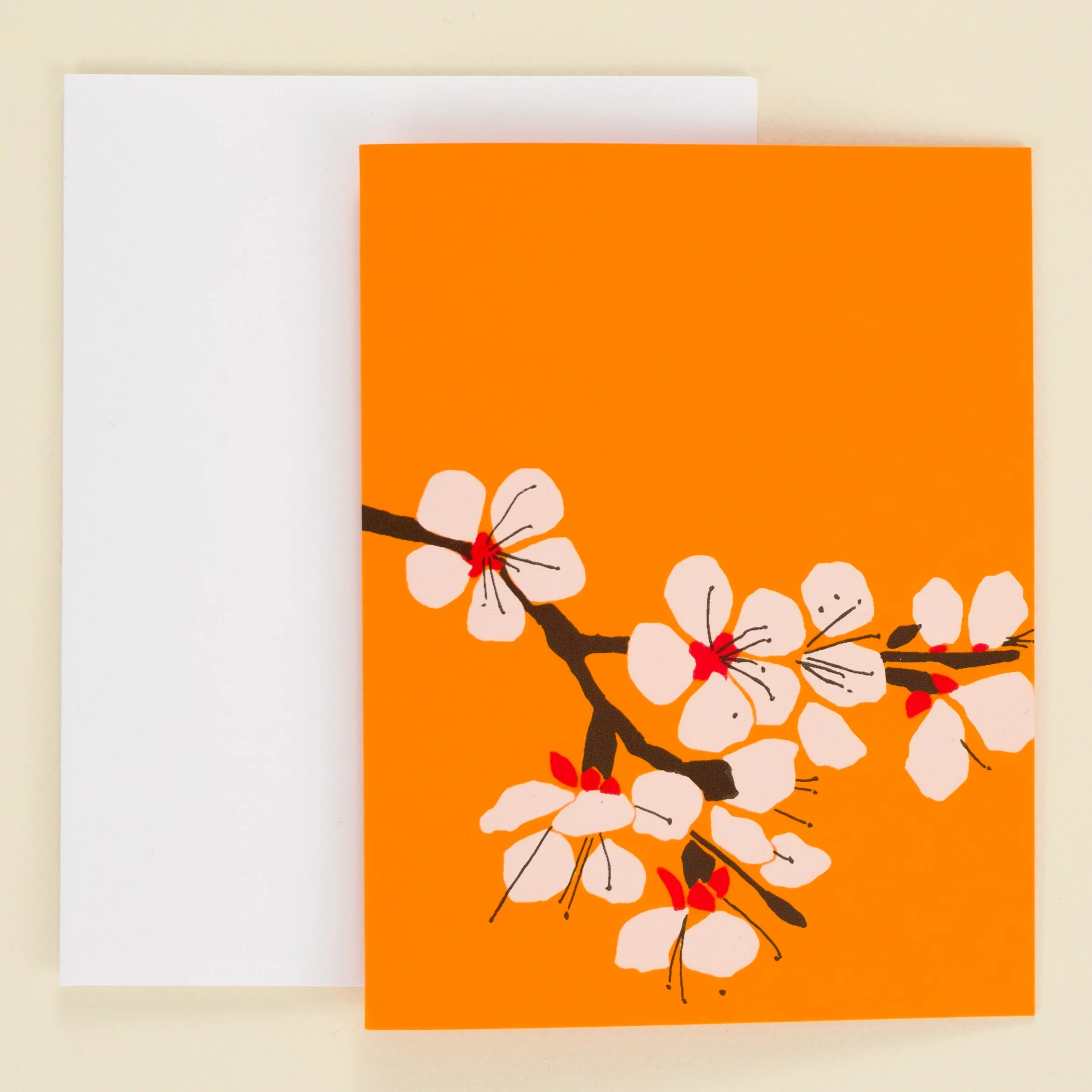apricot blossom.jpg