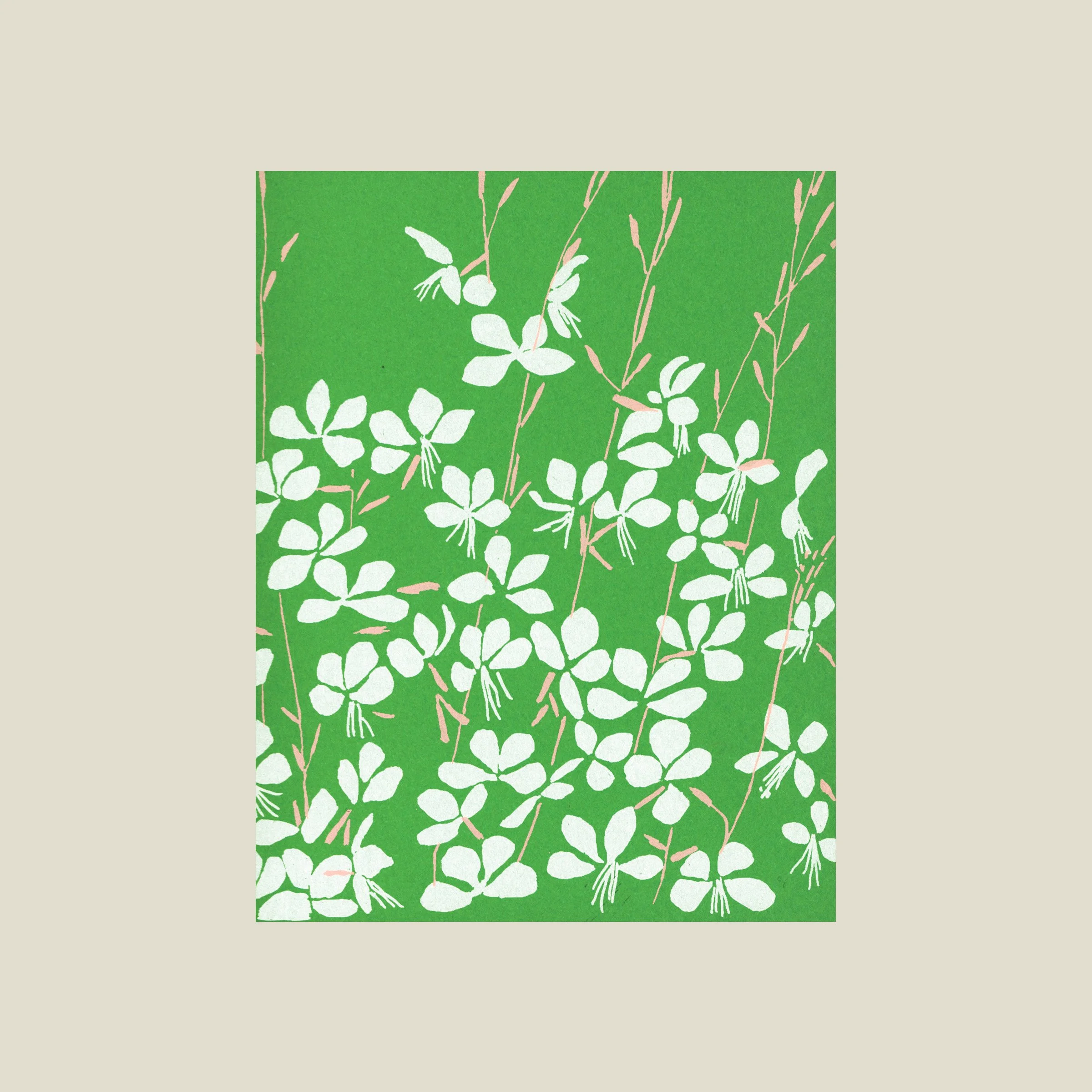 Whirling butterflies (Gaura)