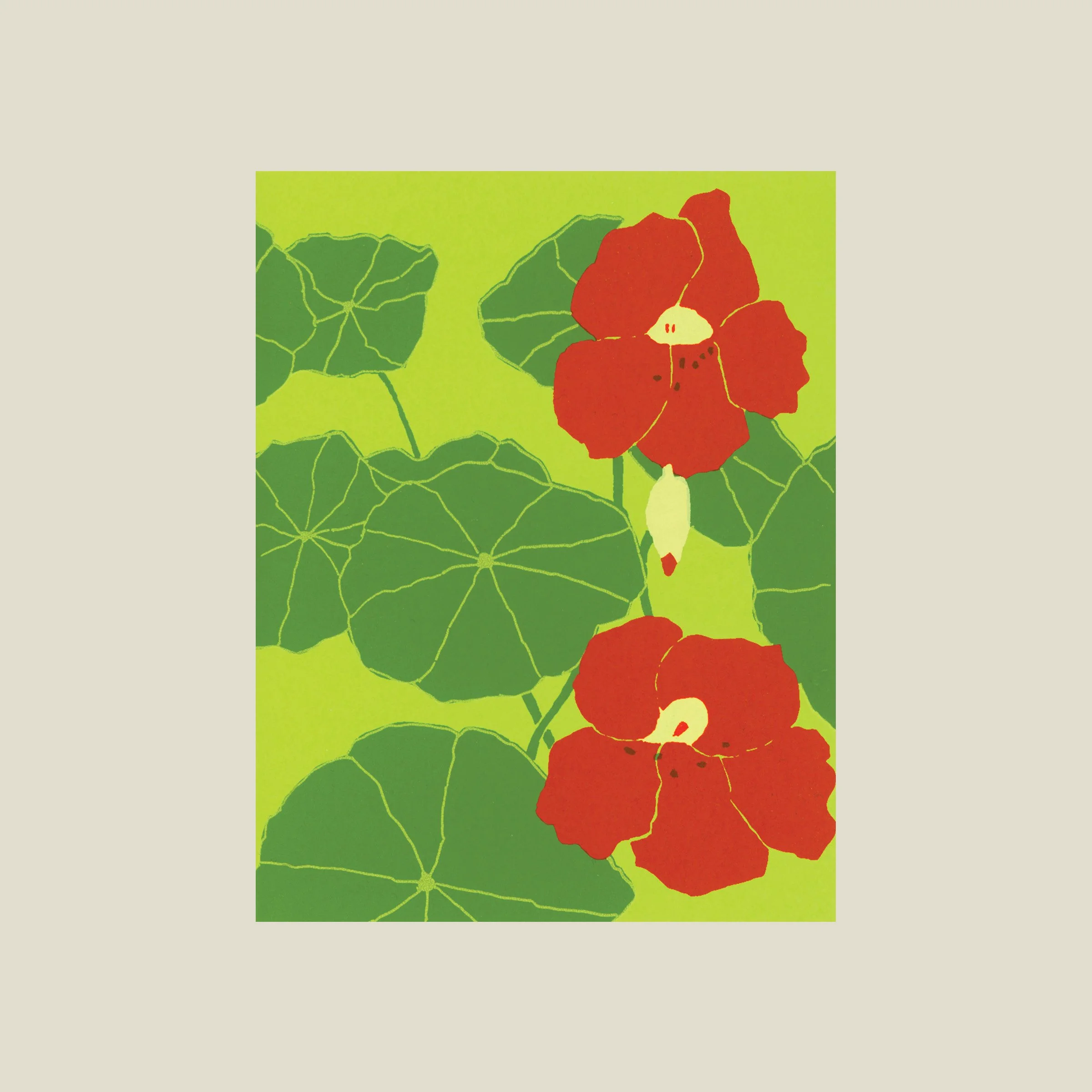 Nasturtium